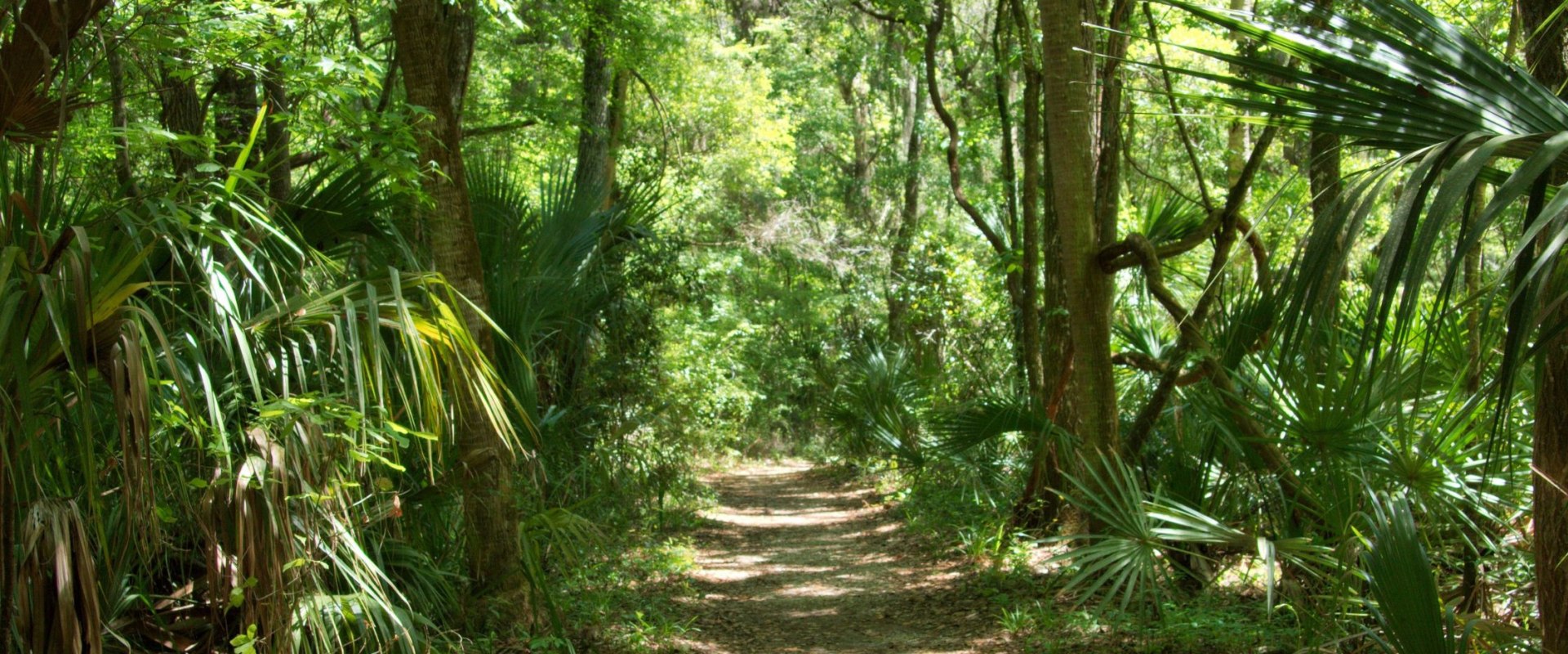 Tax Benefits of Investing in Real Estate in Florida: Maximize Your Gains