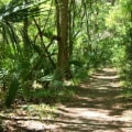 Tax Benefits of Investing in Real Estate in Florida: Maximize Your Gains