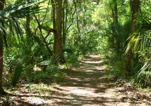 Tax Benefits of Investing in Real Estate in Florida: Maximize Your Gains